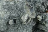 Blueish-Grey Foitite and Quartz on Orthoclase Feldspar - Namibia #363766-1